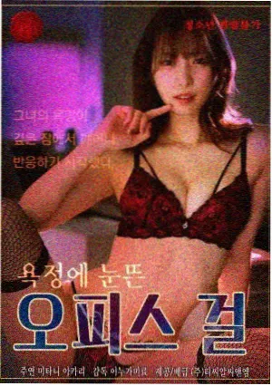 晚风修理铺剧集海报归档